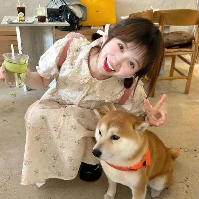 烟花2017